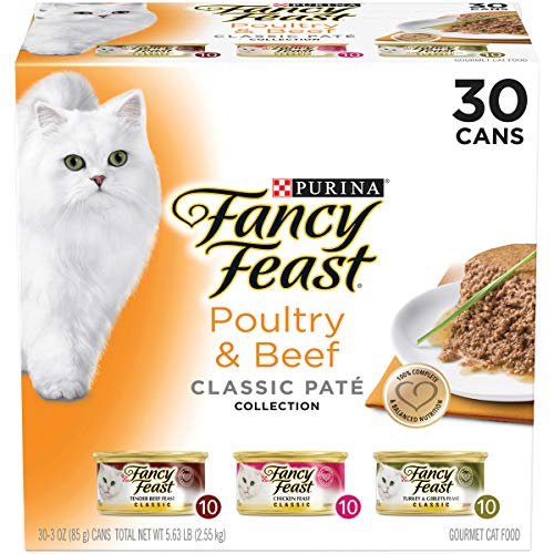 10 Best Food For Cat With Rodent Ulcers Compared 2022