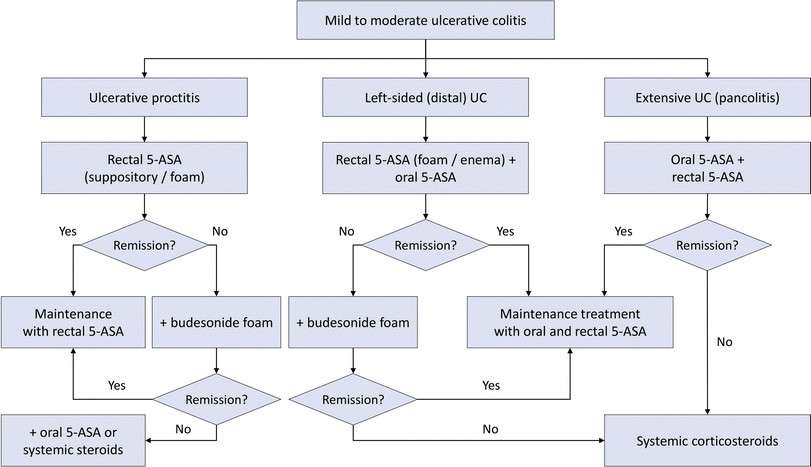 A proposed treatment algorithm for mild to moderate ...