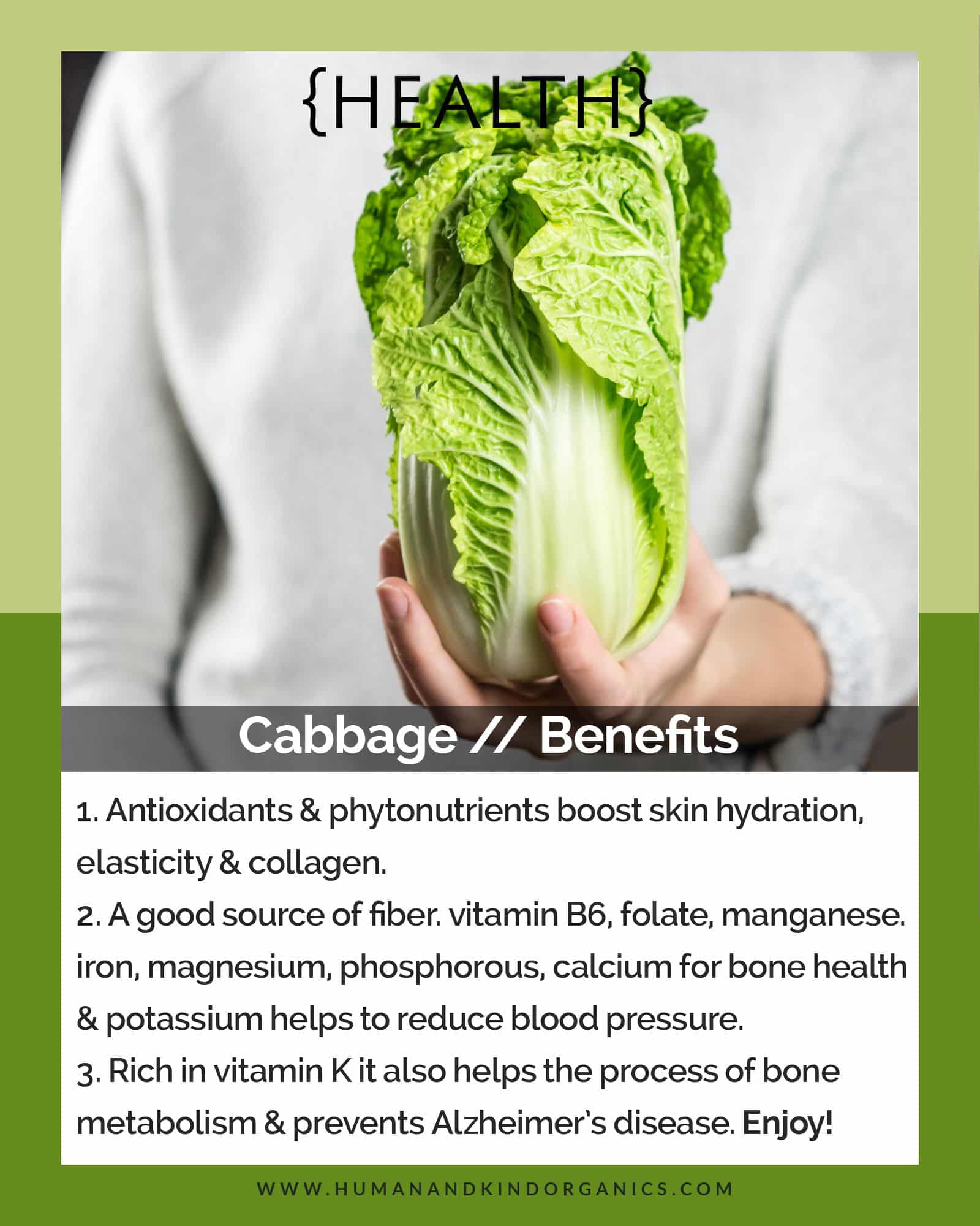 Cabbage//Benefits