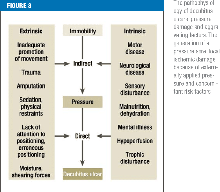 Decubitus ulcers: pathophysiology and primary prevention.