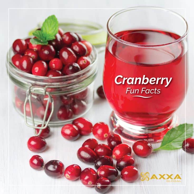 #FunFacts about #Cranberry