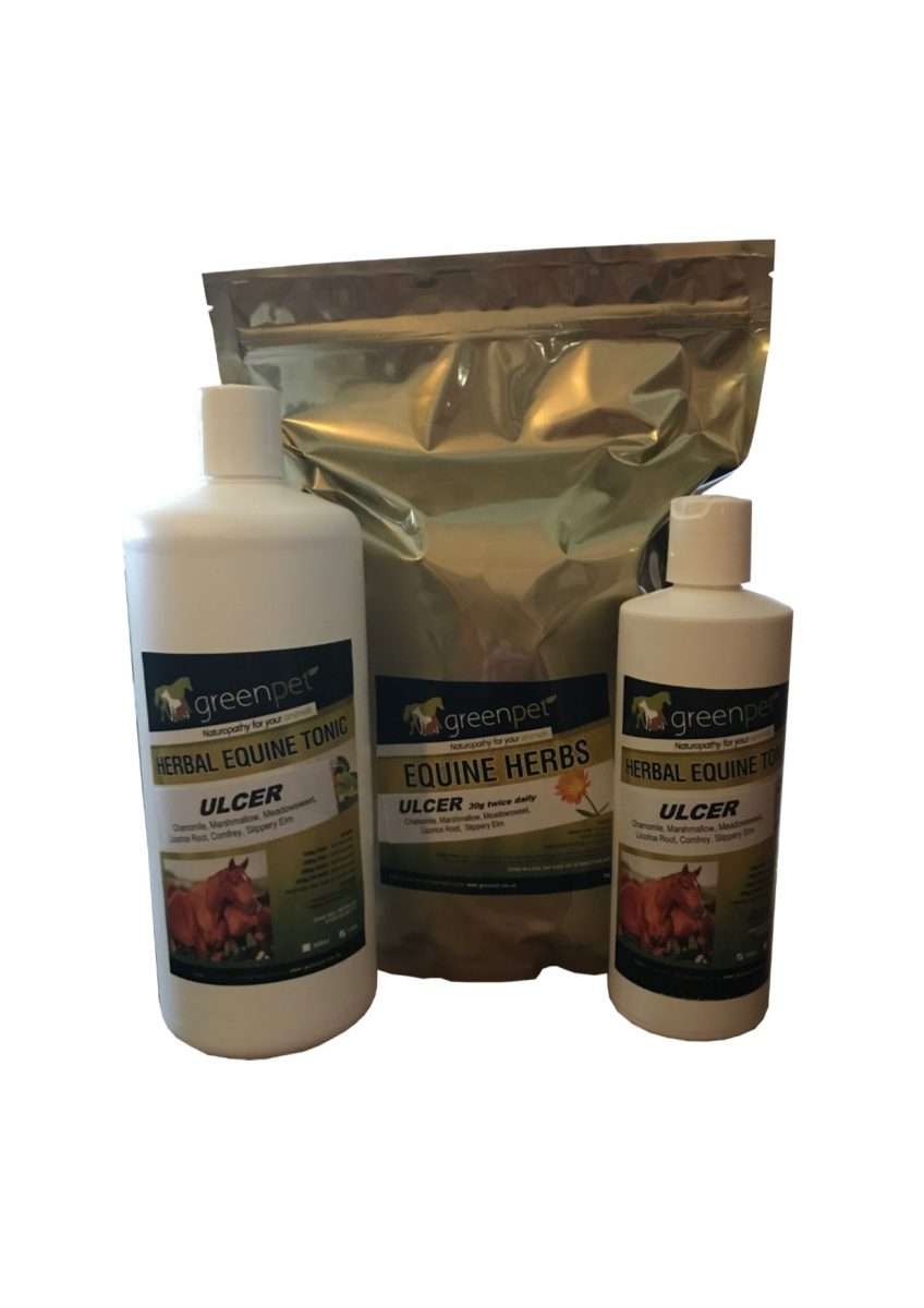 Herbal Equine ULCER Support