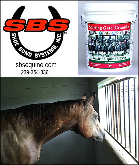 Horse Ulcer Supplements