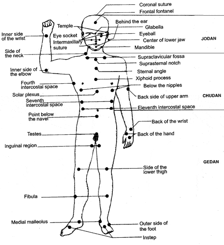 Human Body Pressure Points Diagram