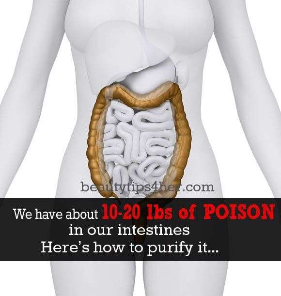 If your colon isnt performing correctly, your body will continue to ...