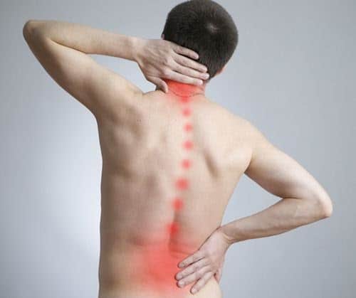 Lower Back Internal Organs : Lower Left Back Pain From Internal Organs