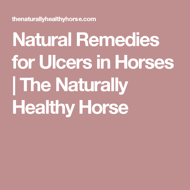 Natural Remedies for Ulcers in Horses