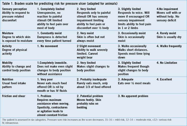Nursing Diagnosis For Pressure Ulcer