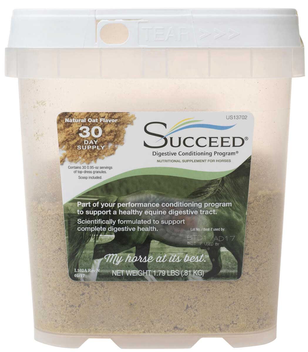 Succeed Digestive Conditioning Supplement for Horses ...