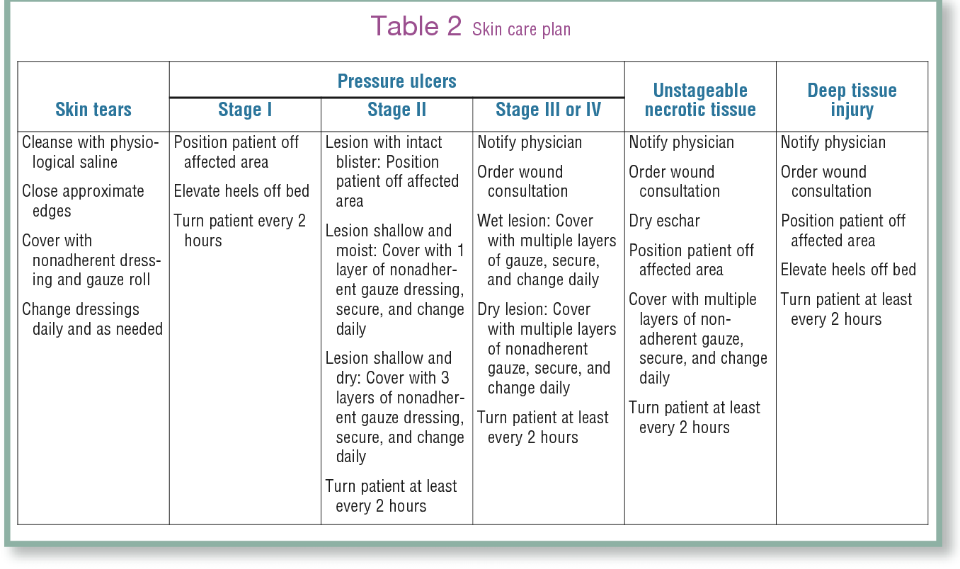 Table 2 from The Healthy Skin Project: changing nursing ...