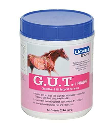 Top 5 Best Horse Ulcer Supplements of 2021