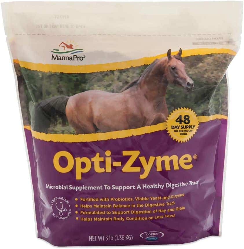 What Is The Best Probiotic For Horses?